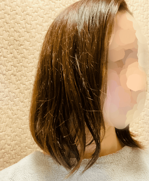アゲツヤミニブラシを使う前の髪の毛