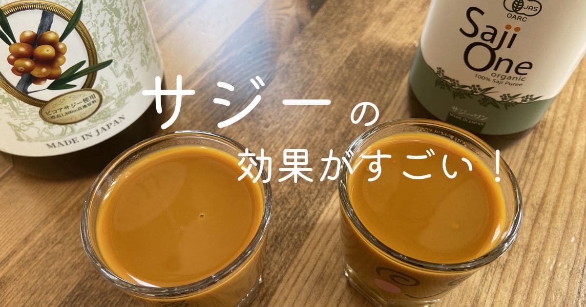 サジージュースを本音レビュー！効果がすごいって本当？口コミ通り？